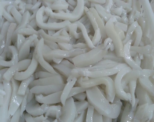 Cuttlefish